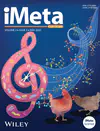 iMeta